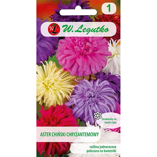 Hiina krüsanteem asters, segu interface.image 1 interface.art 78511