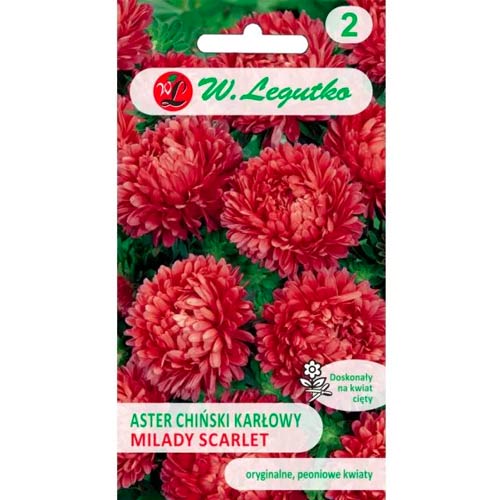 Hiina nõelster Milady Scarlet Legutko interface.image 1 interface.art 69559