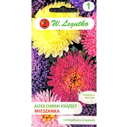 Hiina nõelster, segu Legutko interface.image 1 interface.art 78519