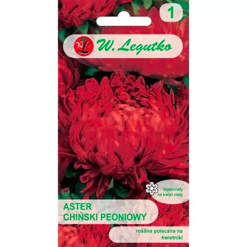 Hiina pioon aster punane Legutko interface.image 1 interface.art 78525
