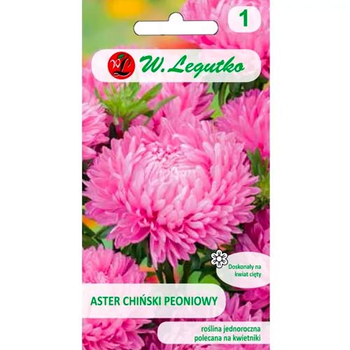 Hiina pioon aster roosa Legutko interface.art foto 1 Hiina pioon aster roosa Legutko interface.image 1 interface.art 78524