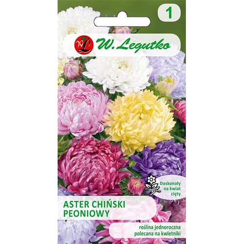 Hiina pioon aster, segu interface.art foto 1 Hiina pioon aster, segu interface.image 1 interface.art 78529