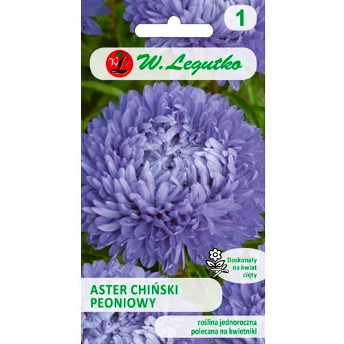 Hiina pioon aster sinine Legutko interface.art foto 1 Hiina pioon aster sinine Legutko interface.image 1 interface.art 78527