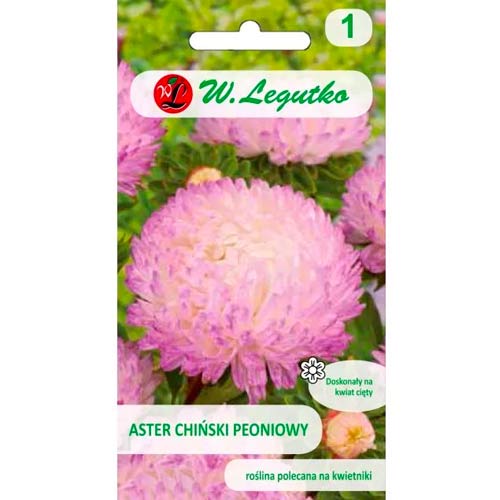 Hiina pioon aster valge-roosa Legutko interface.art foto 1 Hiina pioon aster valge-roosa Legutko interface.image 1 interface.art 78523