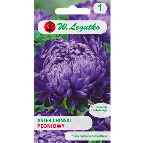 Hiina pioon aster violetne Legutko interface.art foto 1 Hiina pioon aster violetne Legutko interface.image 1 interface.art 78528