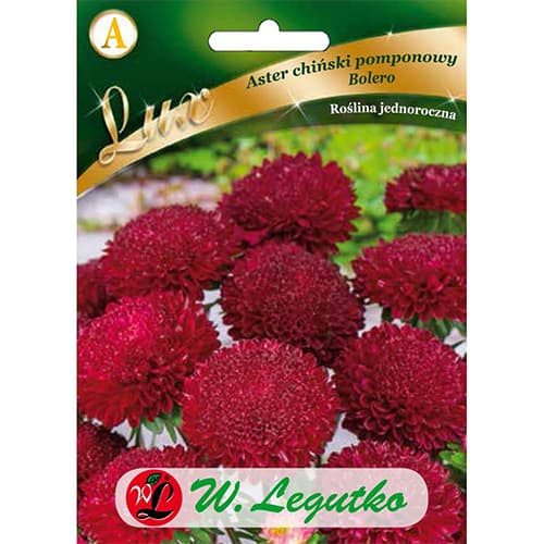 Hiina pom-pom aster Bolero interface.image 1 interface.art 86744