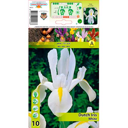 Hollandi iiris White interface.image 1 interface.art 76230