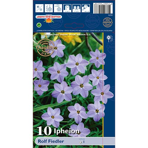 Ifeyon Rolf Fiedler interface.art foto 1 Ifeyon Rolf Fiedler interface.image 1 interface.art 70228