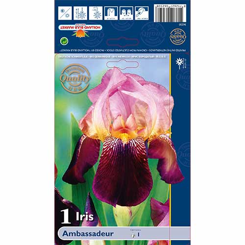 Iiris Ambassadeur interface.art foto 1 Iiris Ambassadeur interface.image 1 interface.art 76105