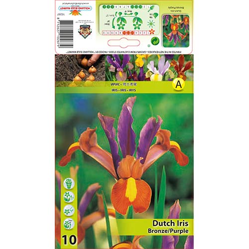 Iiris Bronze/Purple interface.art foto 1 Iiris Bronze/Purple interface.image 1 interface.art 68129