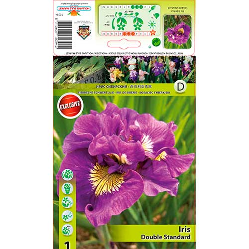 Iiris Double Standard interface.art foto 1 Iiris Double Standard interface.image 1 interface.art 76287