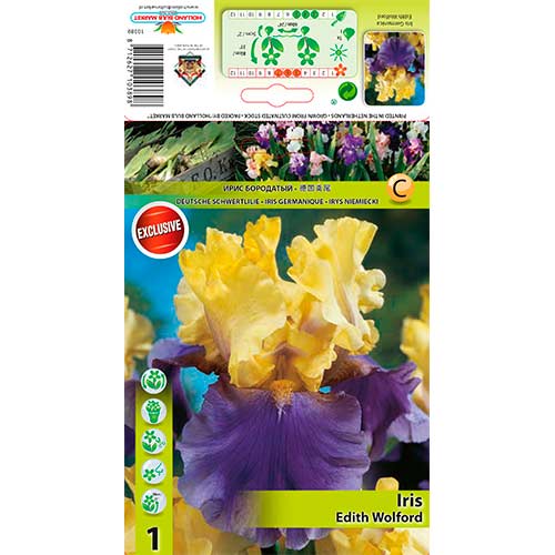 Iiris Edith Wolford interface.art foto 1 Iiris Edith Wolford interface.image 1 interface.art 76288