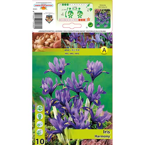 Iiris Harmony interface.image 1 interface.art 67381