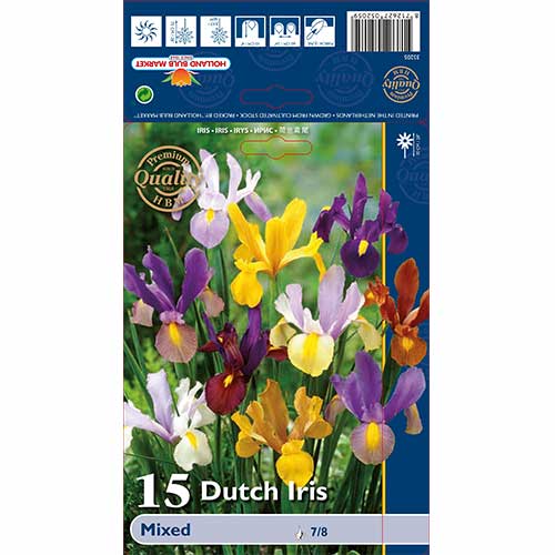 Iiris Hollandi, segu interface.art foto 1 Iiris Hollandi, segu interface.image 1 interface.art 67603