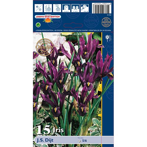 Iiris J.S. Dijt interface.image 1 interface.art 70225