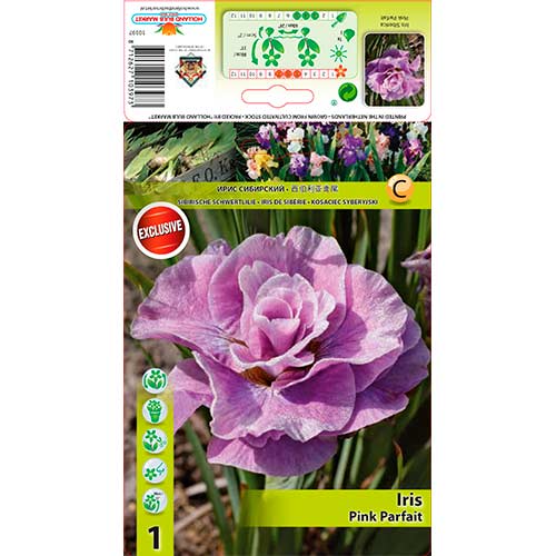 Iiris Pink Parfait interface.image 1 interface.art 76290