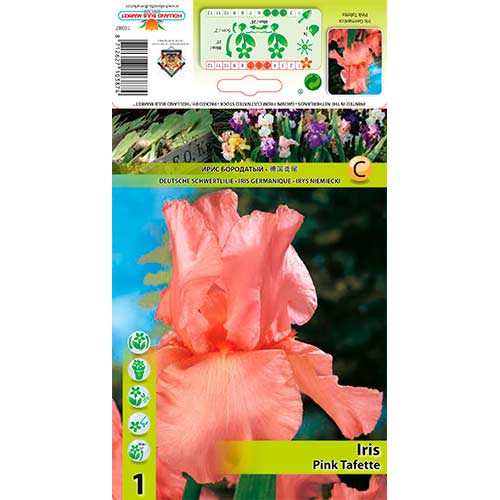 Iiris Pink Tafette interface.image 1 interface.art 76291
