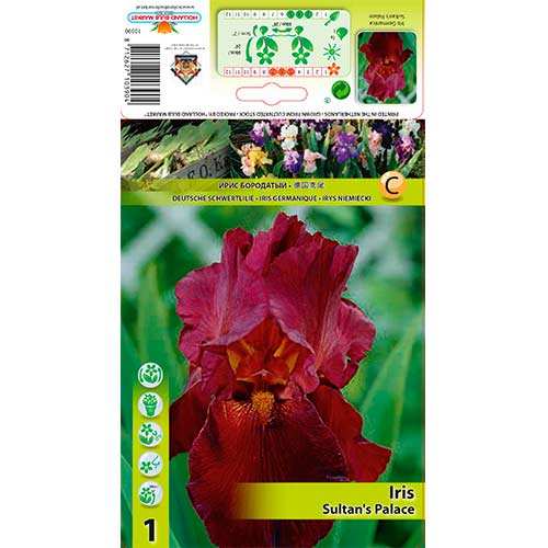 Iiris Sultan's Palace interface.art foto 1 Iiris Sultan's Palace interface.image 1 interface.art 76292