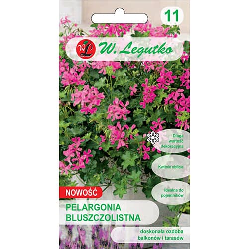Ivy-leaved pelargonium Fuchsia F1 interface.art foto 1 Ivy-leaved pelargonium Fuchsia F1 interface.image 1 interface.art 78631
