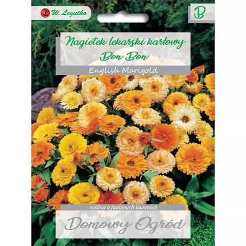 Kääbus Marigold Bon Bon, segu interface.art foto 1 Kääbus Marigold Bon Bon, segu interface.image 1 interface.art 69660
