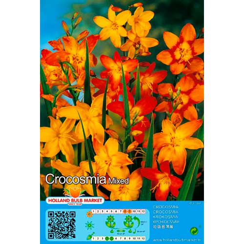 Kaeralill Mixed interface.art foto 1 Kaeralill Mixed interface.image 1 interface.art 76404