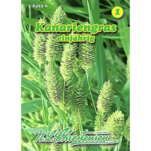 Kanaari paelrohi Kanariengras interface.art foto 1 Kanaari paelrohi Kanariengras interface.image 1 interface.art 87814