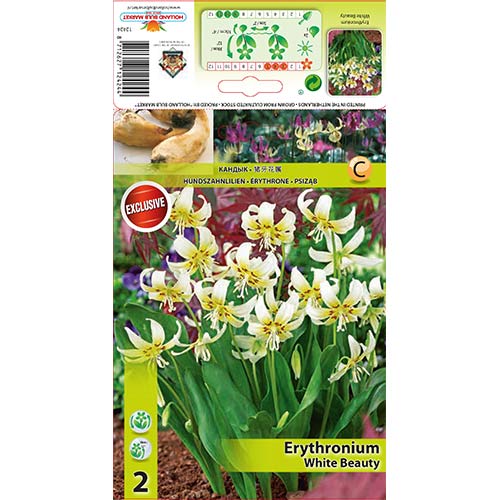 Kandik White Beauty interface.art foto 1 Kandik White Beauty interface.image 1 interface.art 67351