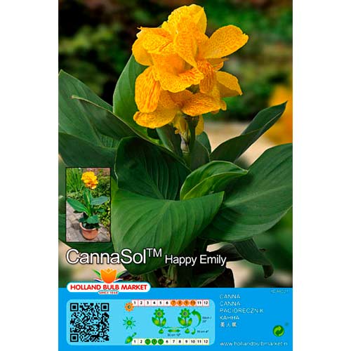 Kanna Happy Emily interface.art foto 1 Kanna Happy Emily interface.image 1 interface.art 76402