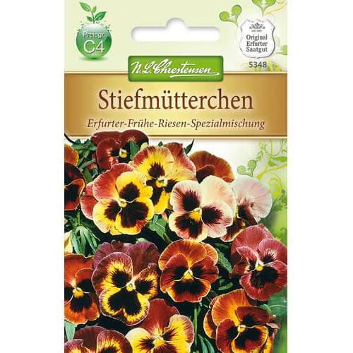 Kannikesed Early Giant, segu interface.image 1 interface.art 78964