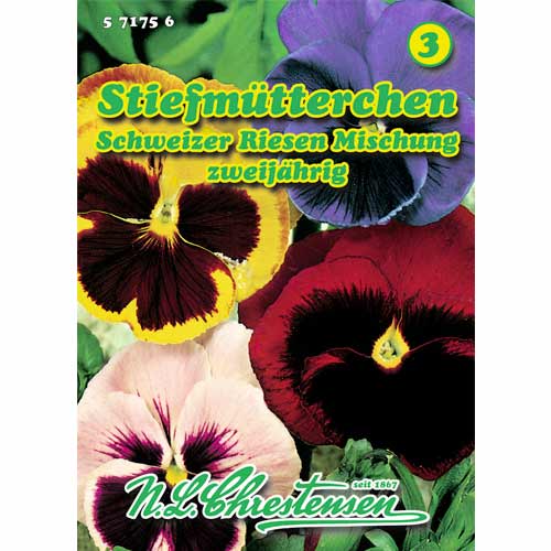 Kannikesed Schweizer Riesen, segu Chrestensen interface.art foto 1 Kannikesed Schweizer Riesen, segu Chrestensen interface.image 1 interface.art 50039