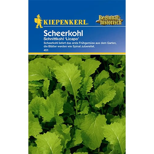 Kapsad Licapo interface.image 1 interface.art 77504