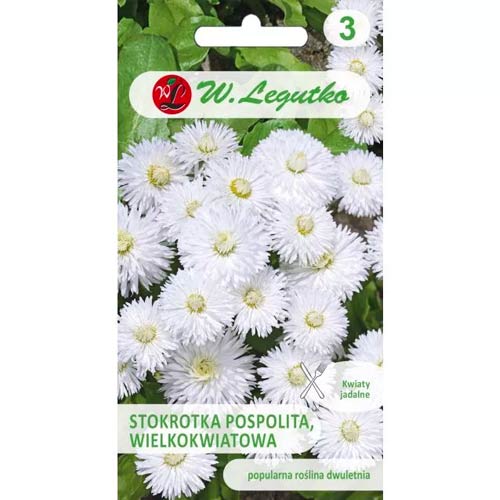 Karikakrad Ave valge Legutko interface.image 1 interface.art 50120