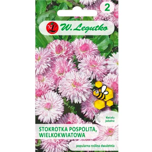 Karikakrad Mária Legutko interface.image 1 interface.art 50121