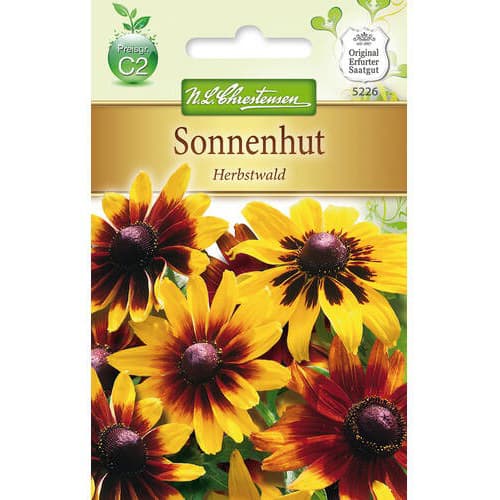 Karvased päevakübarad Herbstwald interface.image 1 interface.art 78934