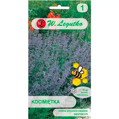 Kassipuu sinine violetne Legutko interface.image 1 interface.art 96716