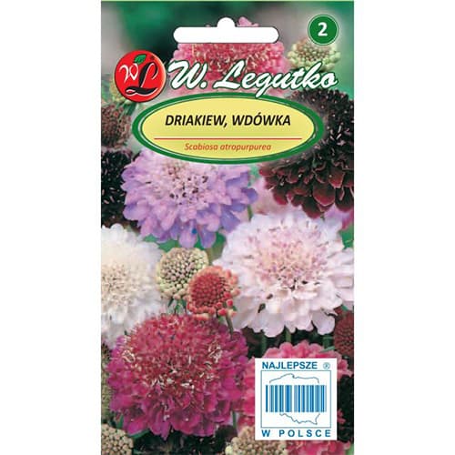 Kaukaasia kõrvits, segu interface.image 1 interface.art 87856