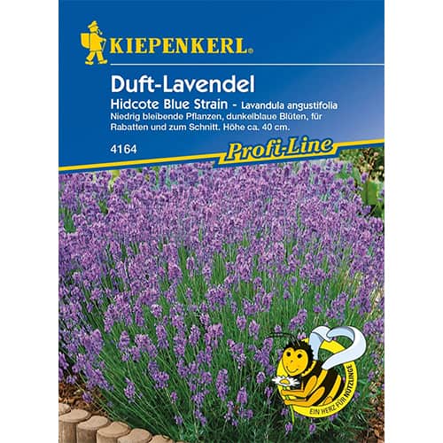 Kitsaleheline lavendel Hidcote Blue Strain interface.art foto 1 Kitsaleheline lavendel Hidcote Blue Strain interface.image 1 interface.art 77448