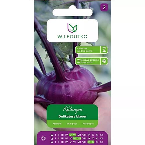 Kohlrabi Delikatess blauer interface.art foto 1 Kohlrabi Delikatess blauer interface.image 1 interface.art 78471
