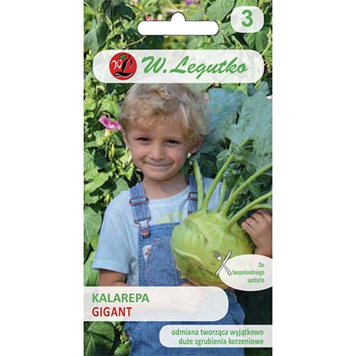 Kohlrabi Giant interface.art foto 1 Kohlrabi Giant interface.image 1 interface.art 69478