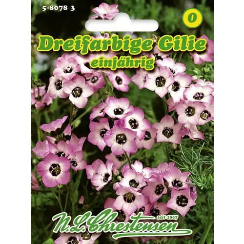 Kolmevärvilised giiliad interface.image 1 interface.art 96458