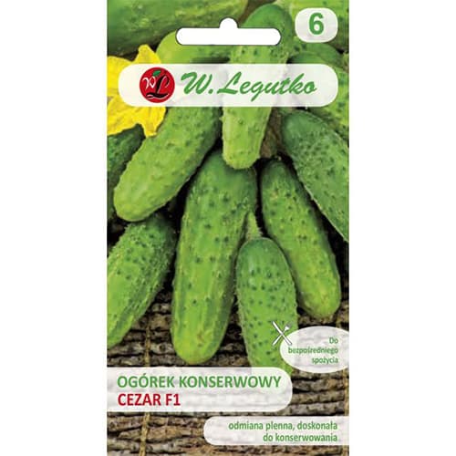 Konserveerimiskurk Caesar F1 interface.image 1 interface.art 86874