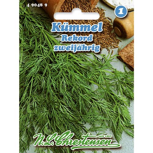 Köömned Rekord interface.art foto 1 Köömned Rekord interface.image 1 interface.art 86008