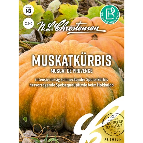 Kõrvitsad Muscat de Provence Chrestensen interface.image 1 interface.art 86071