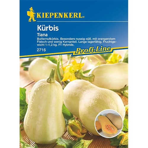 Kõrvitsad Tiana F1 interface.image 1 interface.art 87282