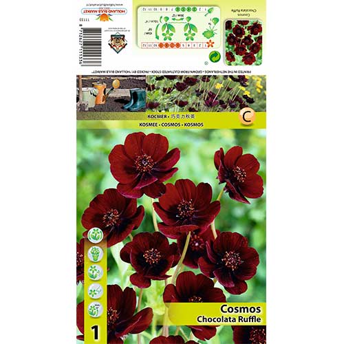 Kosmos Chocolate Ruffle interface.art foto 1 Kosmos Chocolate Ruffle interface.image 1 interface.art 70368