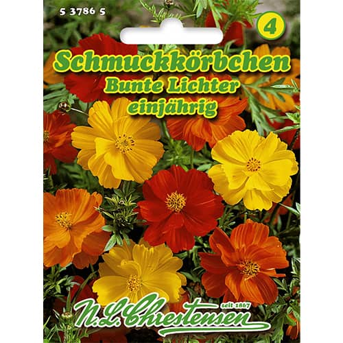 Kosmosed Bunte Lichter interface.art foto 1 Kosmosed Bunte Lichter interface.image 1 interface.art 86143
