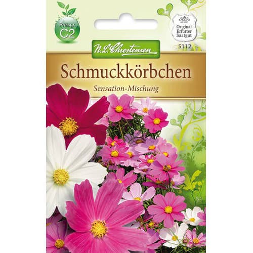 Kosmosed Sensation, segu Chrestensen interface.image 1 interface.art 78906