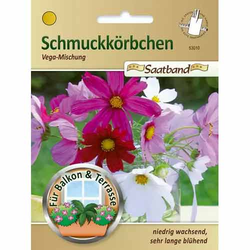 Kosmosed Vega, segu Chrestensen interface.image 1 interface.art 50027