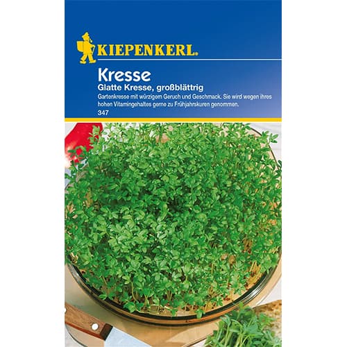 Kress Glatte interface.art foto 1 Kress Glatte interface.image 1 interface.art 77464