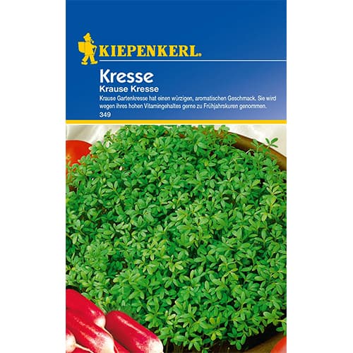 Kress Krause interface.art foto 1 Kress Krause interface.image 1 interface.art 86467
